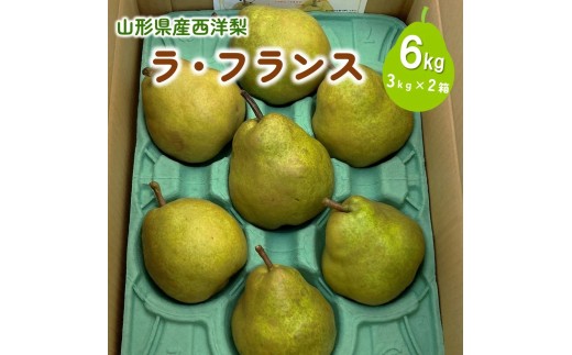 西洋梨（ラ・フランス）６ｋｇ　大玉　ご家庭用　0009-2613