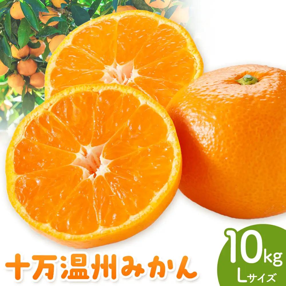 十万温州みかん L 10kg 田野農園《12月中旬-3月中旬頃出荷》鹿児島県 さつま町
