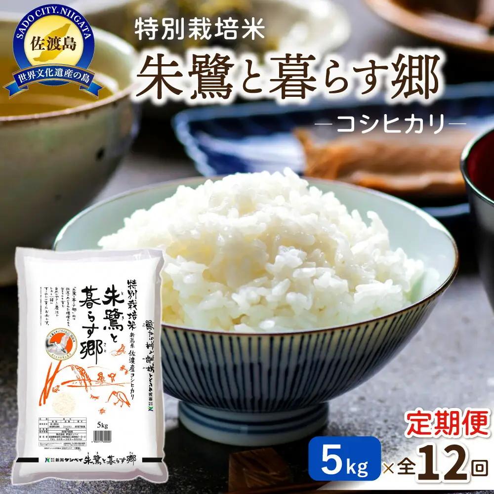 定期便 5kg 毎月12回 コシヒカリ 朱鷺と暮らす郷 | 新潟県 佐渡市