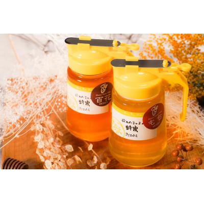 ふるさと納税 大垣市 【国産蜂蜜】はちみつ食べ比べセット450gパッカー容器2本(くろがねもち蜂蜜、百花蜂蜜)
