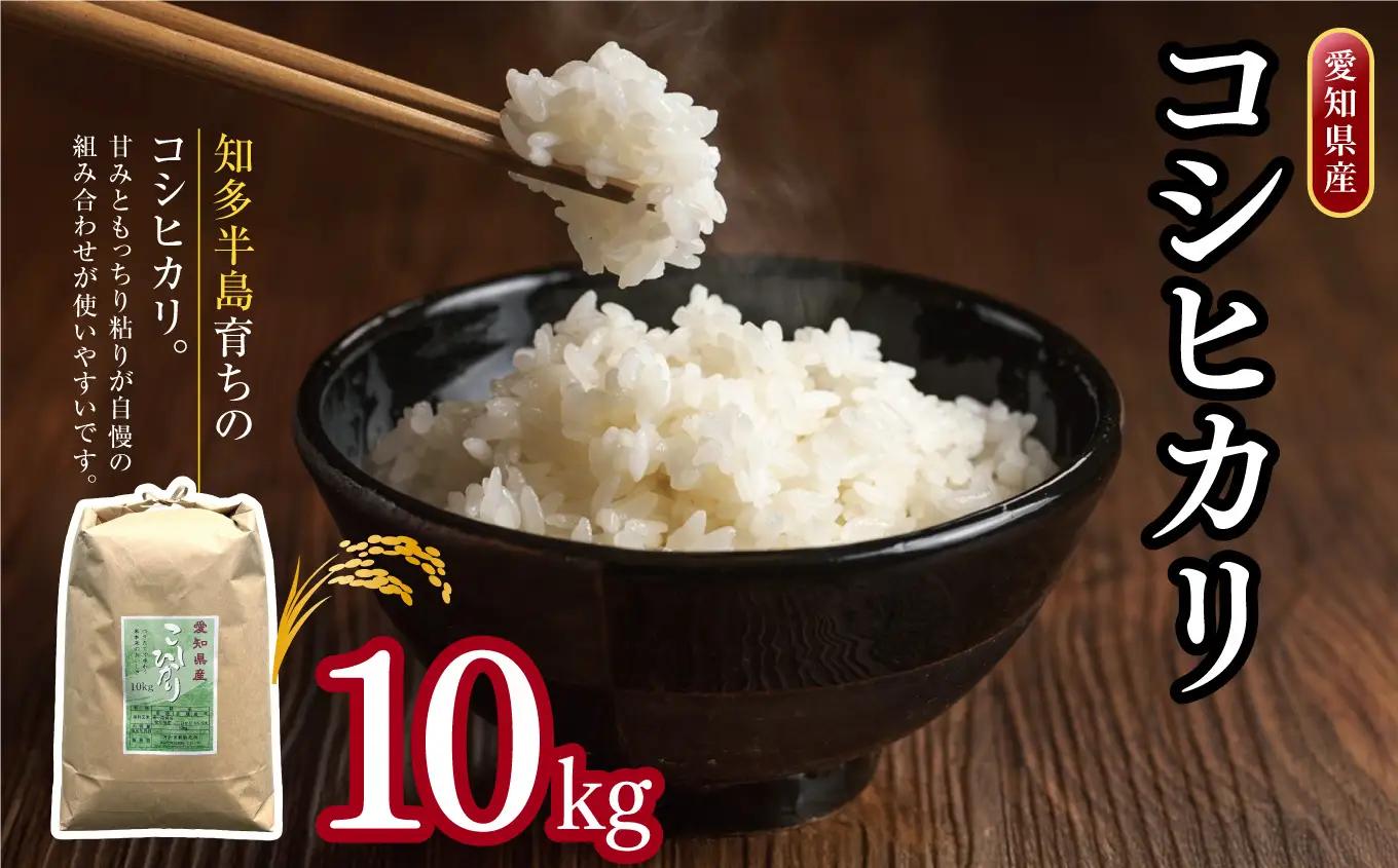 愛知県産 コシヒカリ 10kg｜米 お米 コメ こめ おにぎり 弁当 愛知県 美浜町 新米 ※北海道・沖縄・離島への配送不可