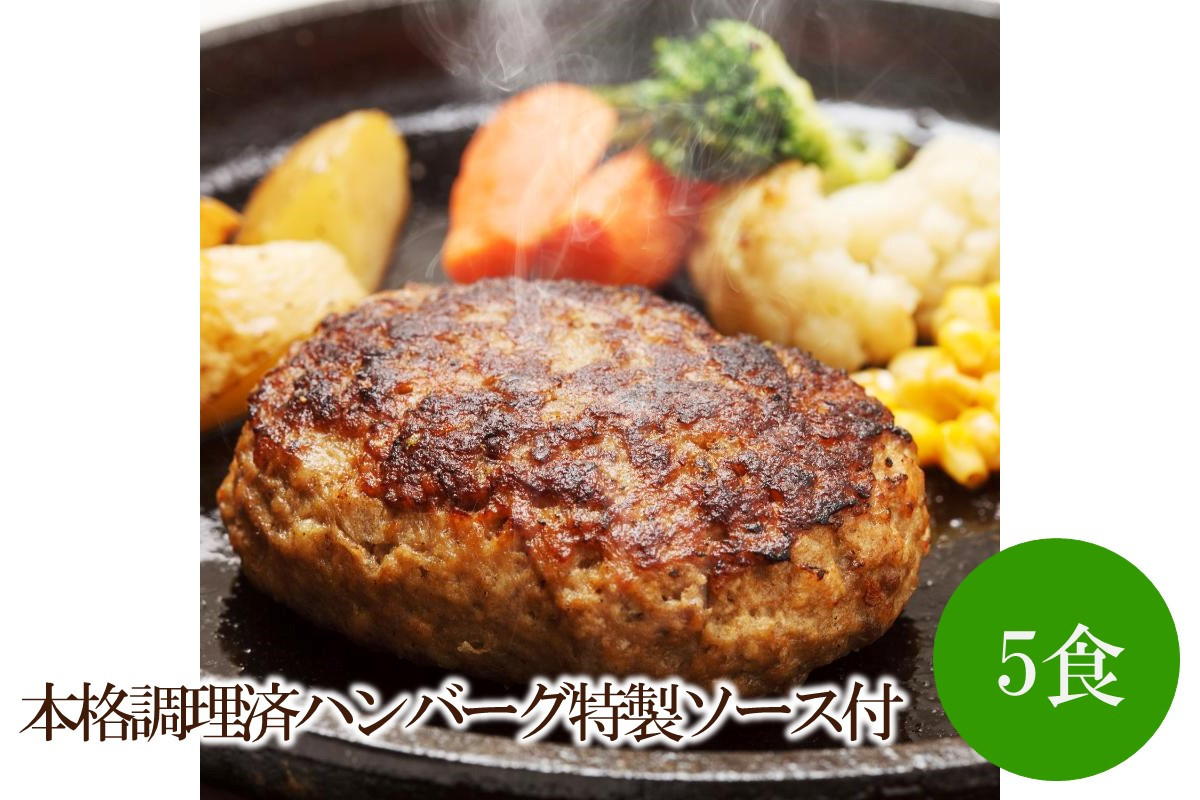 
本格調理済ハンバーグ特製ソース付5食【001-0305】
