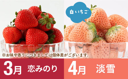 【先行予約】【7回定期便】産地直送！白石町産 いちごと牛肉の極上定期便 [IZZ014]