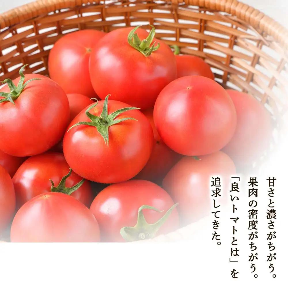 【定期便 12回】中野ファームのトマトジュース 180ml 合計60本(5本×12回）【余市のトマトジュース】フルーツトマトジュース 高糖度トマトジュース 無添加トマトジュース 北海道産トマトジュース