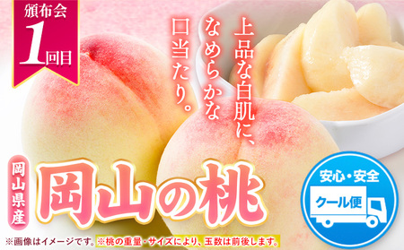 岡山県産 旬の 人気 くだもの おすすめ 定期便 全2回 桃 約1.3.kg (4～8玉前後) シャインマスカット 約1.3kg (2房) 《7月上旬-11月中旬頃出荷》フルーツ 果物 定期便 お取り