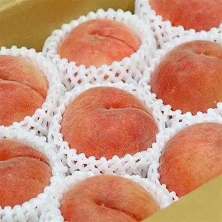 【2026年発送】フルーツ王国　長野県信州直送　桃　川中島白鳳　約1.5kg(4～7玉)【配送不可地域：離島】【1530522】