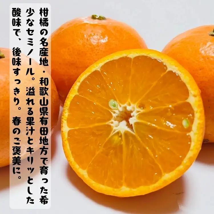 有田育ちの爽快セミノールオレンジ(ご家庭用)　約3kg+200g(補償分)　【2027年4月上旬～5月下旬頃に順次発送予定】【ard024A】