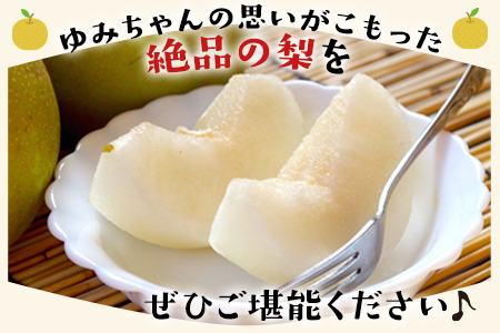 玉東梨 約5kg ゆみちゃん農園 梨