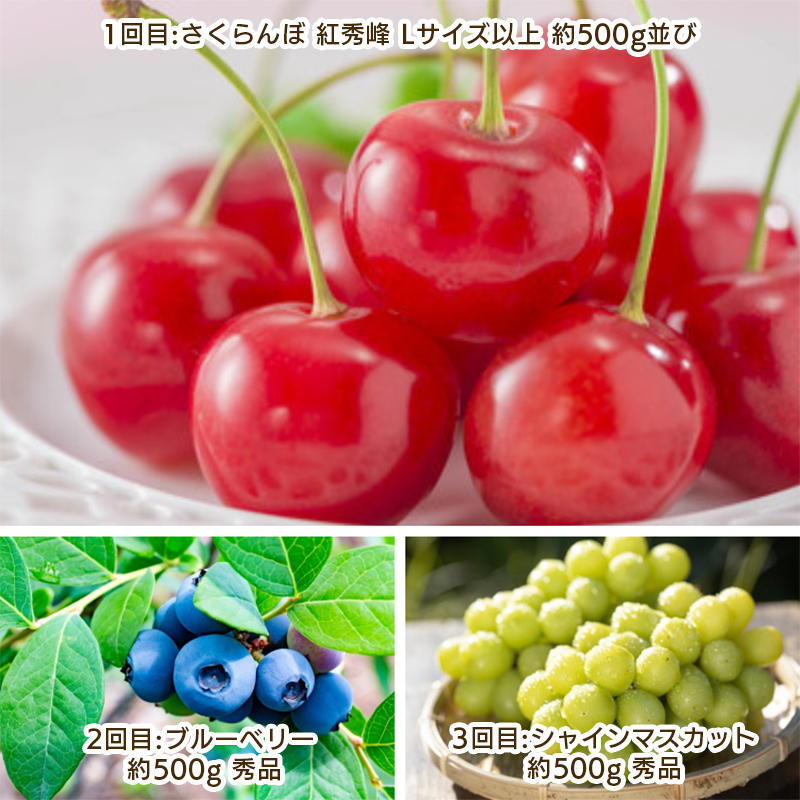 【定期便3回】やまがた 晴天のフルーツ定期便 FY25-050