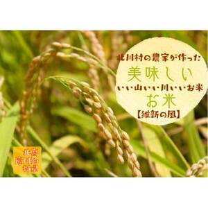 【令和7年8月より発送】北川村の米〈維新の風〉[5kg×5袋]【1521004】