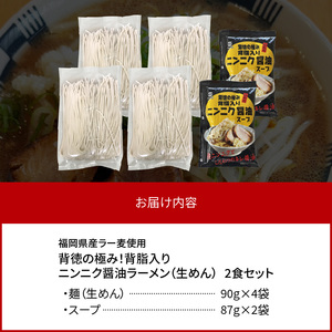 【福岡県産ラー麦使用】背徳の極み！背脂入りニンニク醤油ラーメン（2食） PC7706