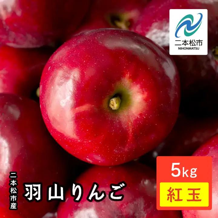 《2026年10月中旬以降順次発送》羽山のりんご 紅玉 5kg【羽山果樹組合】