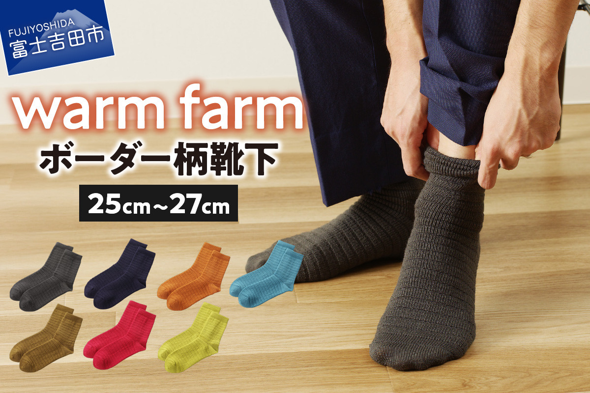 
            【選べるカラー】光吸収発熱ウール「ウォームファーム ボーダー柄靴下」 全7色 靴下 ウール 天然繊維 バナウォーム 暖かい 山梨 富士吉田
          