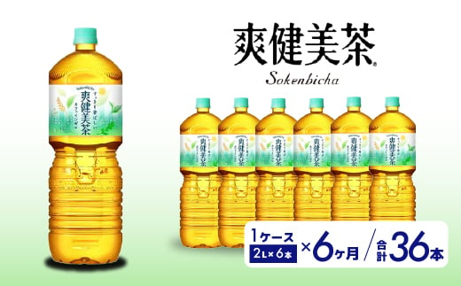 
【6か月定期便】爽健美茶 PET 2L×6本(1ケース) お茶 飲料 ソフトドリンク カフェインゼロ ペットボトル 箱買い まとめ買い 備蓄 災害 014065
