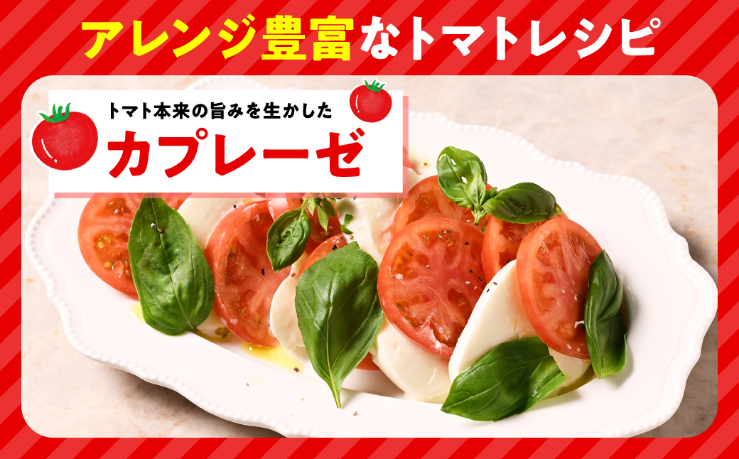 【先行予約】 Red i ～紅～ 1kg トマト とまと 野菜 やさい 旬の野菜 新鮮な野菜 地元産野菜 ご当地 国産 特産品 お取り寄せ 家庭用 食卓 【2026年1月中旬より順次発送】
