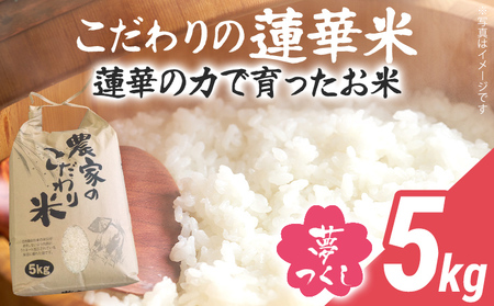 米 5kg 夢つくし 数量限定 こだわりの蓮華米 精米 農家直送 蓮華米 白米 国産米 国産 おにぎり お弁当 福岡県 福岡 九州 グルメ お取り寄せ