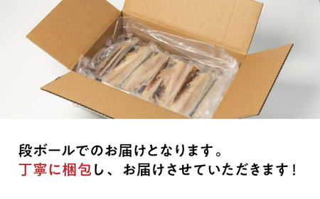 【訳あり】塩さば 20切れ 約2.2kg(個包装)【配送不可地域：離島】【1486464】