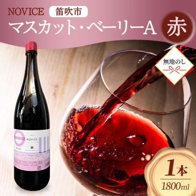 ふるさと納税 笛吹市 【無地熨斗】赤ワイン NOVICE マスカット・ベーリーA 1800ml 日川中央葡萄酒 笛吹市
