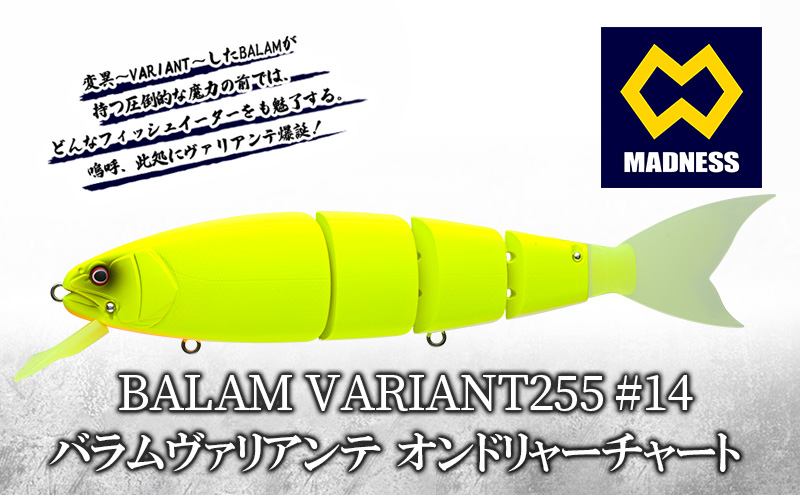 
                  BALAM VARIANT255 #14 バラムヴァリアンテ オンドリャーチャート〈マドネス、ビックベイト、スイムベイト、ジャイアントベイト、釣り、バス釣り、ルアー、釣り具、スポーツ〉
                