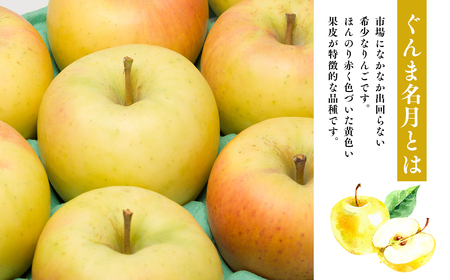 【1~2月発送】 贈答用ぐんま名月約3kg（糖度証明書付き） 【青森県 平川市 那由多のりんご園】贈答 青森 青森県産 平川 りんご リンゴ 林檎 くだもの 果物 フルーツ 名月 【hi-0005-0