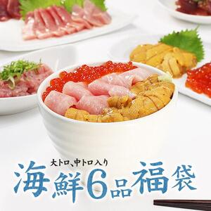 豪華海鮮6品福袋　本マグロ大トロ＆中トロ、ウニ、イクラ、ネギトロ、づけ！海鮮丼や手巻き寿しに