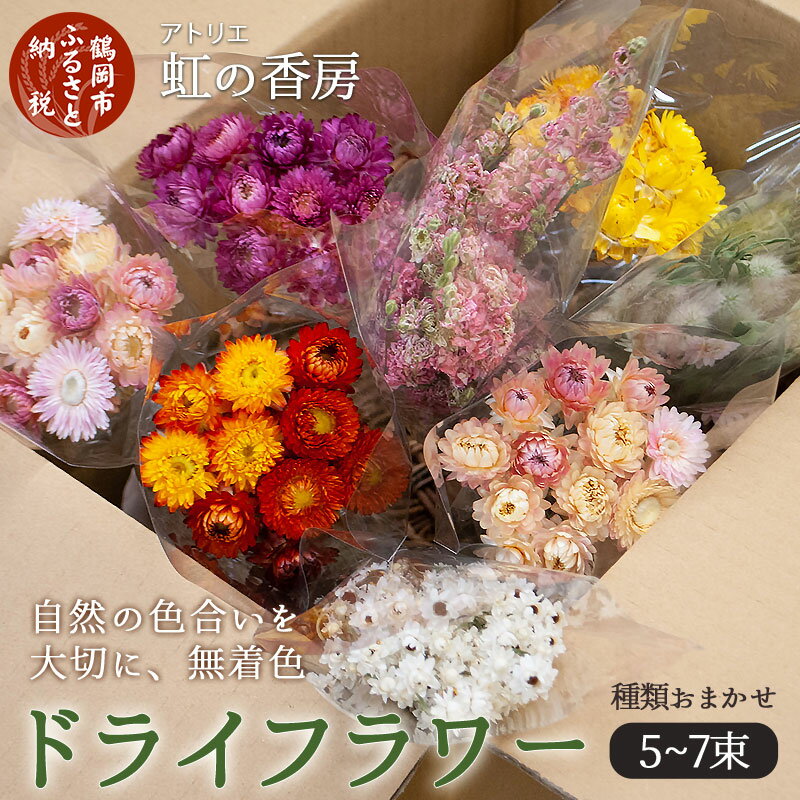 【ふるさと納税】 ドライフラワー 5〜7束 （種類は季節ごとにおまかせ） 千日紅 、 ヘリクリサム 、 カスミソウ 、 ケイトウ 、 ラグラス など