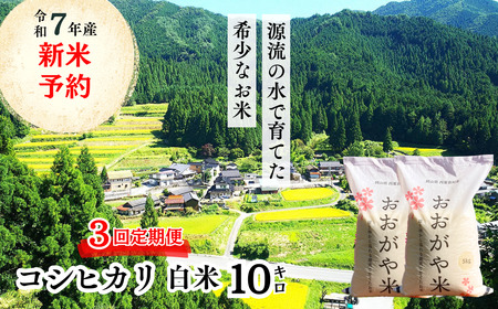 《令和7年産新米予約・10月ごろよりお届け開始》【3回定期便】白米 10kg 令和7年産 コシヒカリ 岡山 「おおがや米」生産組合 G-ag-BEDA