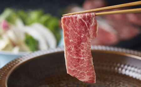 【全6回定期便】【数量限定】【GI認証】くまもとあか牛 食べ比べ Ⓐ / 菊陽町 あかうし 熊本県 肉 にく niku ブランド 旨み 【有限会社 三協畜産】[BHAS025]