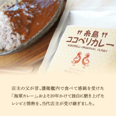 ふるさと納税 糸島市 糸島牛の旨みが凝縮!!濃厚海軍カレー10袋《糸島》【ココペリ】レトルト 常備食[ALE001] |  | 02