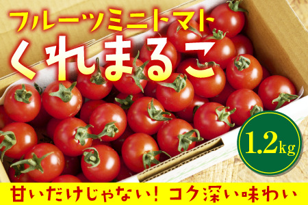 〈 先行予約受付中 〉 フルーツミニトマト 『 くれまるこ 』 1.2kg 【 甘い 濃厚 美味しい 箱詰め 高知 久礼 宇井農園 フルーツトマト トマト  】