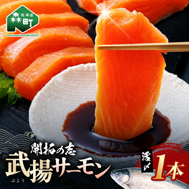 【ふるさと納税】開拓の志 武揚サーモン 「森町」 活〆1本 ＜株式会社 ワイエス海商＞ サケ さけ 鮭 海鮮丼 海産物 森町 ふるさと納税 北海道 mr1-1342