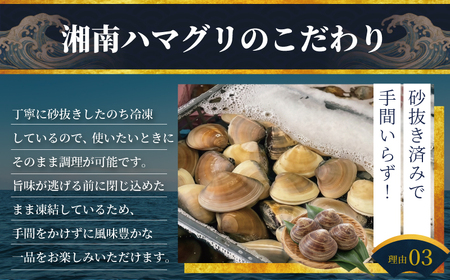 はまぐり  LLサイズ  1.4kg 【湘南はまぐり】