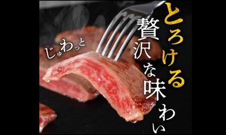 松阪牛サーロインステーキ1枚 200g ( 松阪牛 牛肉 和牛 松阪牛 ステーキ 松阪牛 牛肉ステーキ )