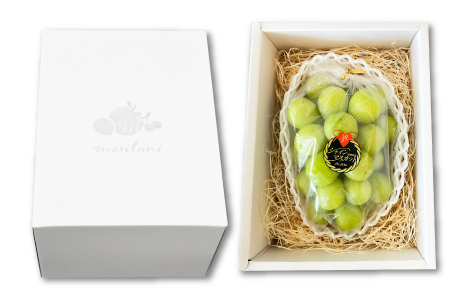 B-629 大粒大房 シャインマスカット 1房（700g程度）【シャインマスカット 大粒 ぶどう 2025 先行予約 ブドウ 葡萄 しゃいんますかっと マスカット 果物 くだもの フルーツ 大房 期間