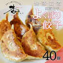 【ふるさと納税】焼・蒸・茹・煮　四変化のよくばり餃子　40個