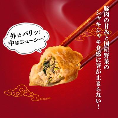ふるさと納税 宇都宮市 宇都宮餃子 運気アップ餃子　まあまあウマイ餃子18個　保存料不使用 |  | 01
