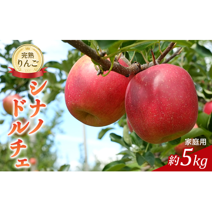 先行予約 りんご シナノドルチェ 約5kg 家庭用 2025年 令和7年発送 完熟りんご・外観は不揃いだけど美味しいよ 果物 果物類 リンゴ 林檎 フルーツ 長野のりんご 信州産 長野県産 信州りんご デザート 食後 