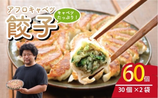 餃子 60個 きゃべつ 餃子 ぎょうざ ギョーザ 肉 汁 豚肉 国産 食品 小分け 大容量 キャンプ 野菜 やさい 弁当 惣菜 おかず おつまみ 冷凍餃子 冷凍ギョーザ 冷凍 冷凍食品 点心 鶏肉 豚肉 野菜 簡単調理 贈答 贈り物 プレゼント ギフト お取り寄せ グルメ おいしい 家庭用 中華 送料無料 ふるさと納税 ふるさと納税ぎょうざ ふるさと納税餃子 千葉県 銚子市 くるくるやっほー