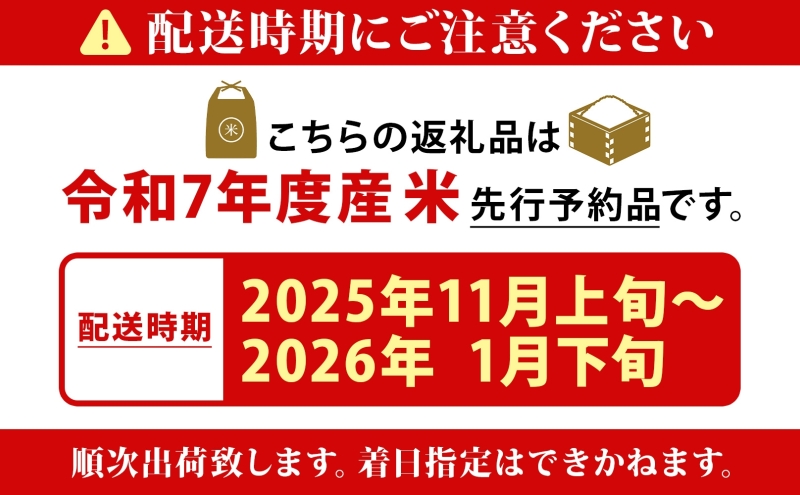 【ふるさと納税】北海道 R7年産 北海道産 ゆめぴりか 10kg 精米 米 白米 ごはん お米 新米 特A 獲得 ライス 北海道米 ブランド米 道産 ご飯 お取り寄せ 甘み もちもち 粘り 食味ランキ