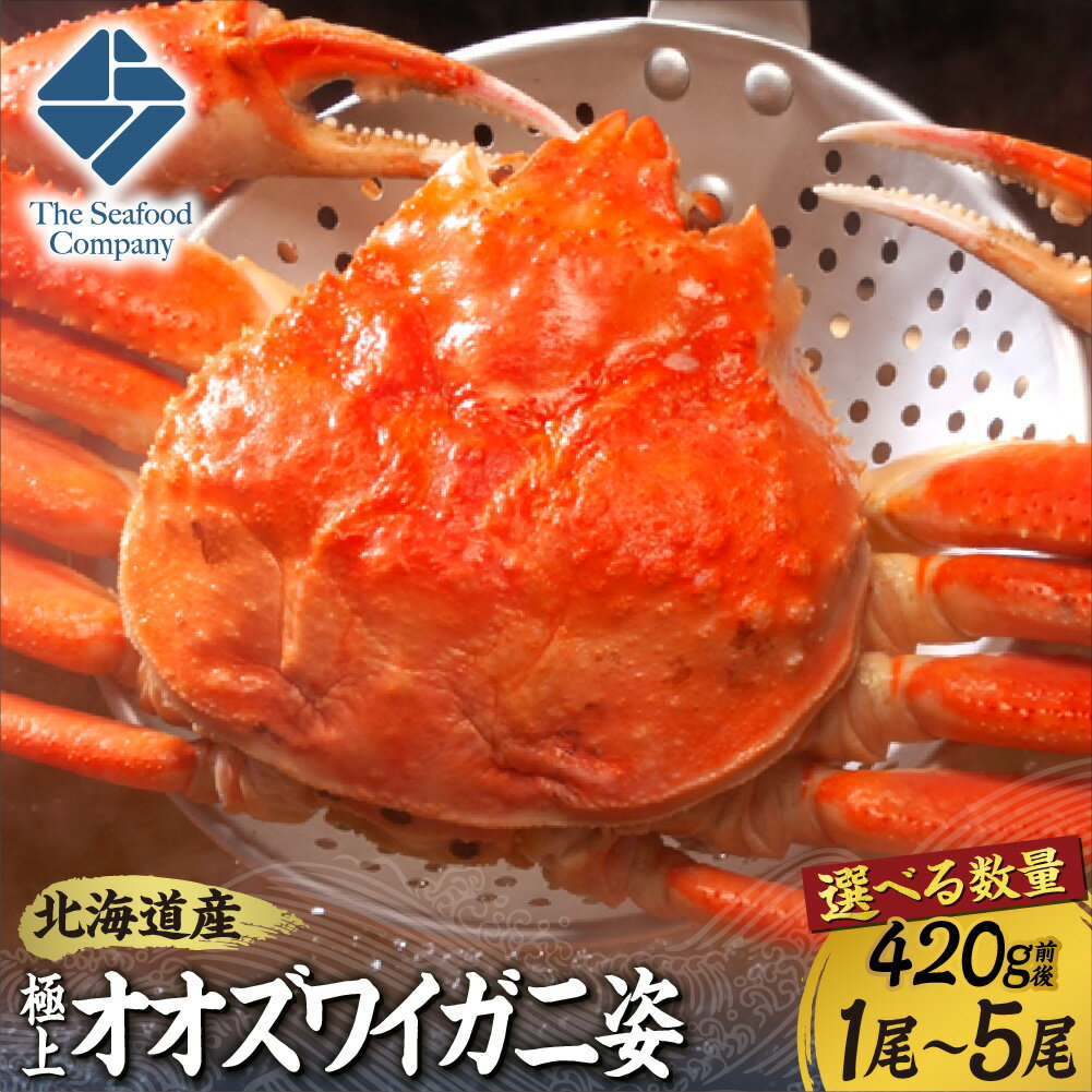 【ふるさと納税】 北海道産 極上 オオズワイガニ 姿 【 選べる 数量 】 420g 前後 1尾～5尾 ずわいがに 楚蟹 カニ 840g 1.26kg 1.68kg 2.1kg ボイル 蟹味噌 お取り寄せ グルメ かにみそ 甲羅 冷凍 国産 魚介 甲殻類 水産 海鮮 厳選 北海道 札幌市