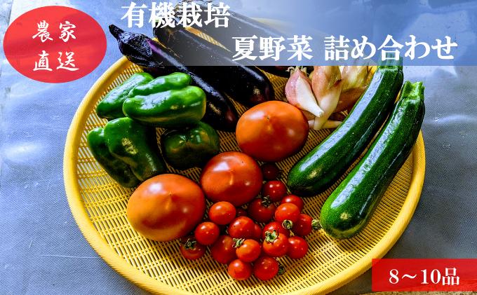 
                  [№5819-0339]有機栽培 夏野菜 8～10品 詰め合わせ 群馬県産 東吾妻 有機JAS 認証取得
                