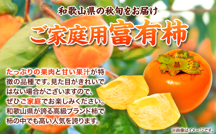 ＊先行予約＊【家庭用訳あり】和歌山秋の味覚富有柿約7.5kg株式会社魚鶴商店《11月上旬-12月上旬頃出荷》柿富有柿フルーツ---wsh_uot30_ad1112_24_20000_75---