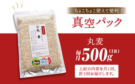 【全3回定期便】丸麦500g（1等麦使用）【葦農】 [HAJ040]