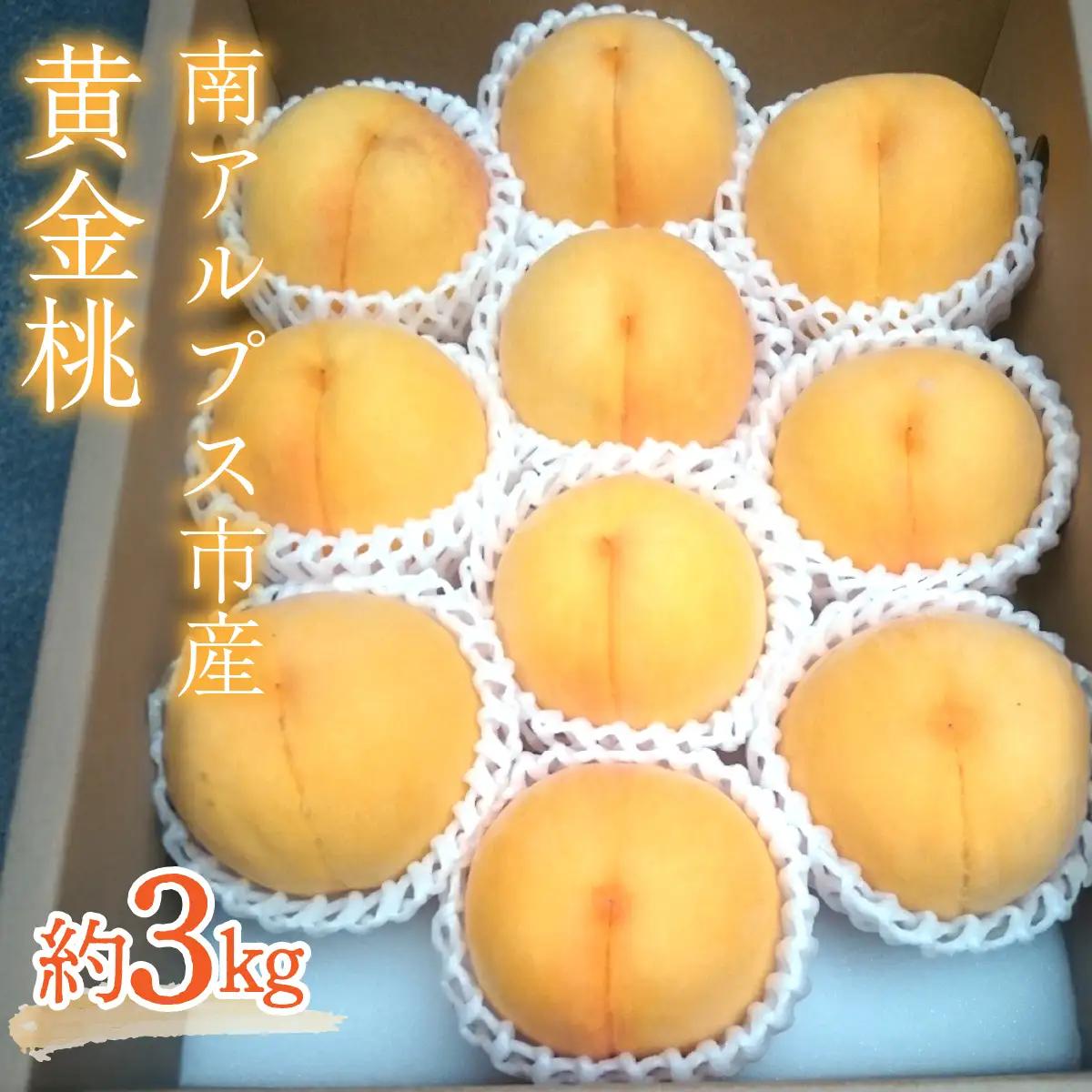 ＜2026年発送先行予約＞南アルプス市産　黄金桃（約３ｋｇ） ALPCM003