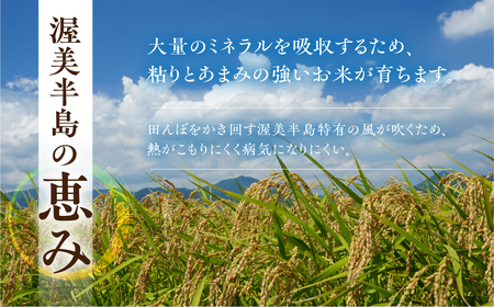 五縁米5 kg　こしひかり お米 ごはん コシヒカリ 白米 5キロ 産地直送 愛知県 田原市 