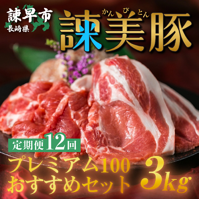 【12回定期便】諫早平野の米で育てた諫美豚プレミアム100お勧めセット3kg / 諫美豚 豚肉 肩ロース ステーキ モモ 切り落とし ハンバーグ ロースステーキ / 諫早市 / 株式会社土井農場 [AHAD033]