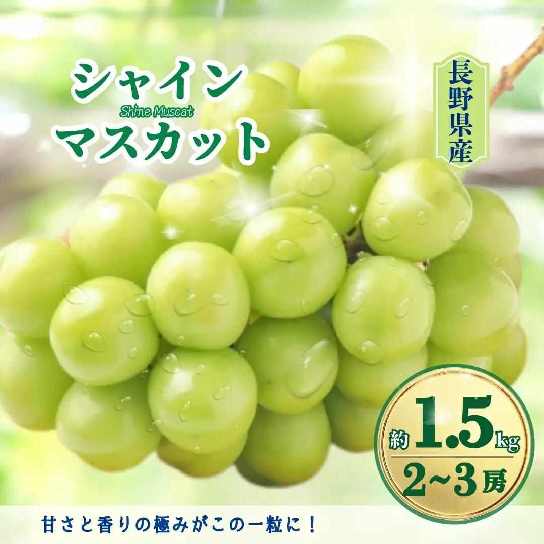 【2026年先行予約】シャインマスカット 約1.5kg(2~3房)|シャインマスカット