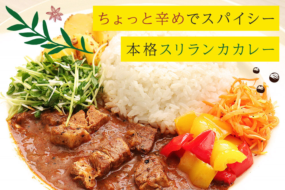 成瀬ダム スリランカカレー 100g×5個 [カレー スリランカ レトルト パウチ 防災 非常食 食品 備蓄 ストック 常温 保存 お手軽 ポークカレー 豚肉 グルメ 惣菜 夜ごはん ランチ 昼ごはん
