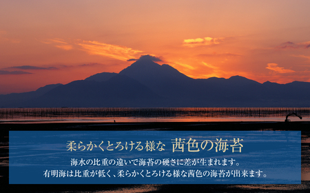 W26-40 【訳あり】福岡有明のり 焼き海苔 2切10枚×10袋(100枚分) 【SHINWN】 【fukuchi00】