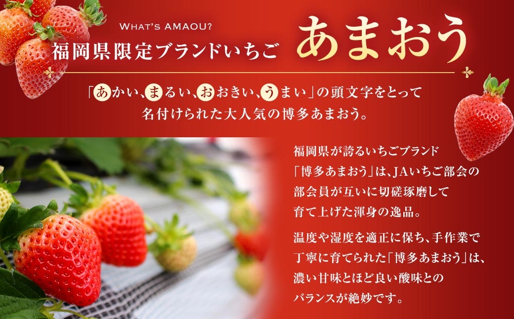 博多あまおう4パック（春）